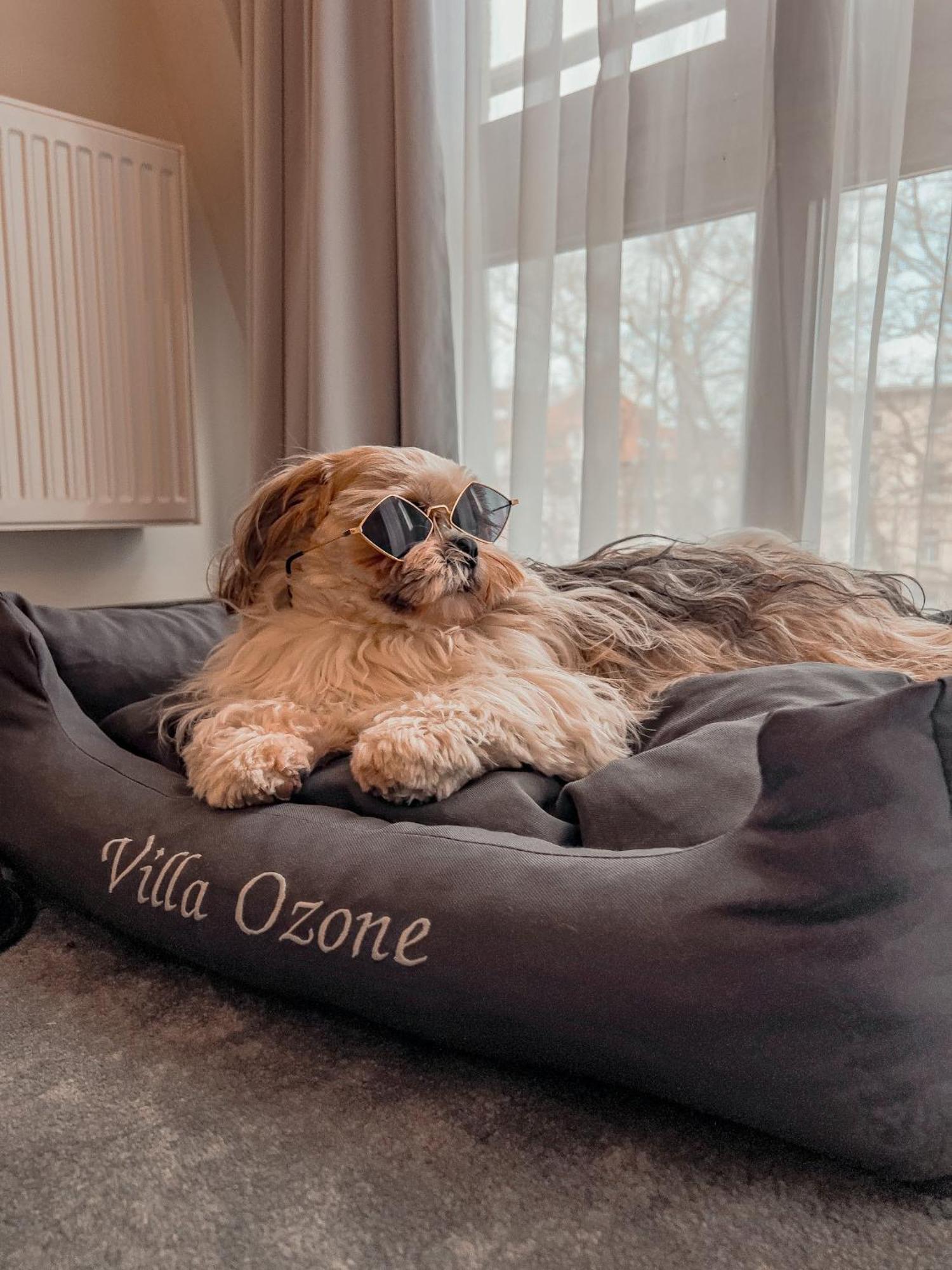 Aparthotel Ozone